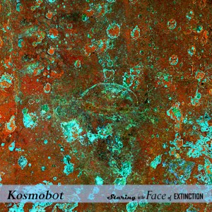 kosmob0t staring hoes